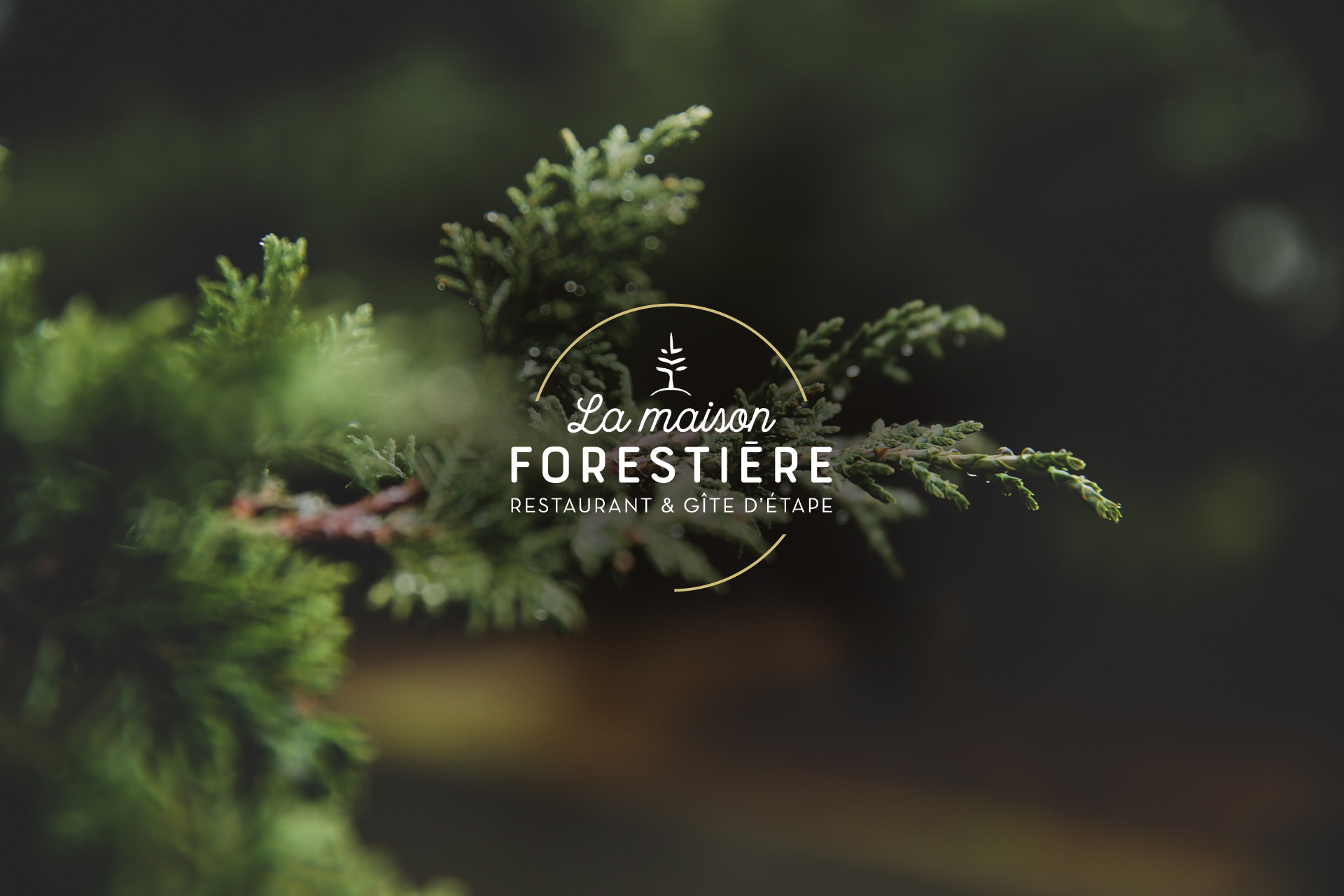 Logo de la Maison Forestière par studio N°3